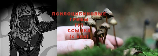 мдма Коряжма