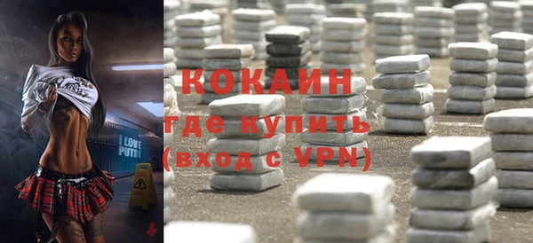 эйфоретик Болотное