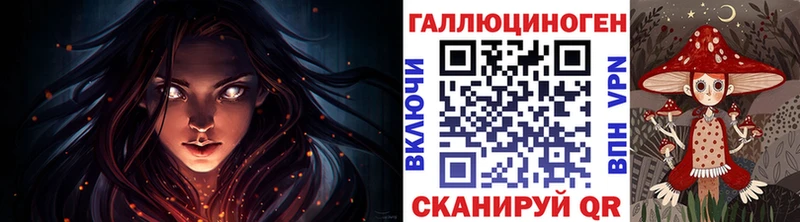 мега Мещовск Псилоцибиновые грибы Magic Shrooms